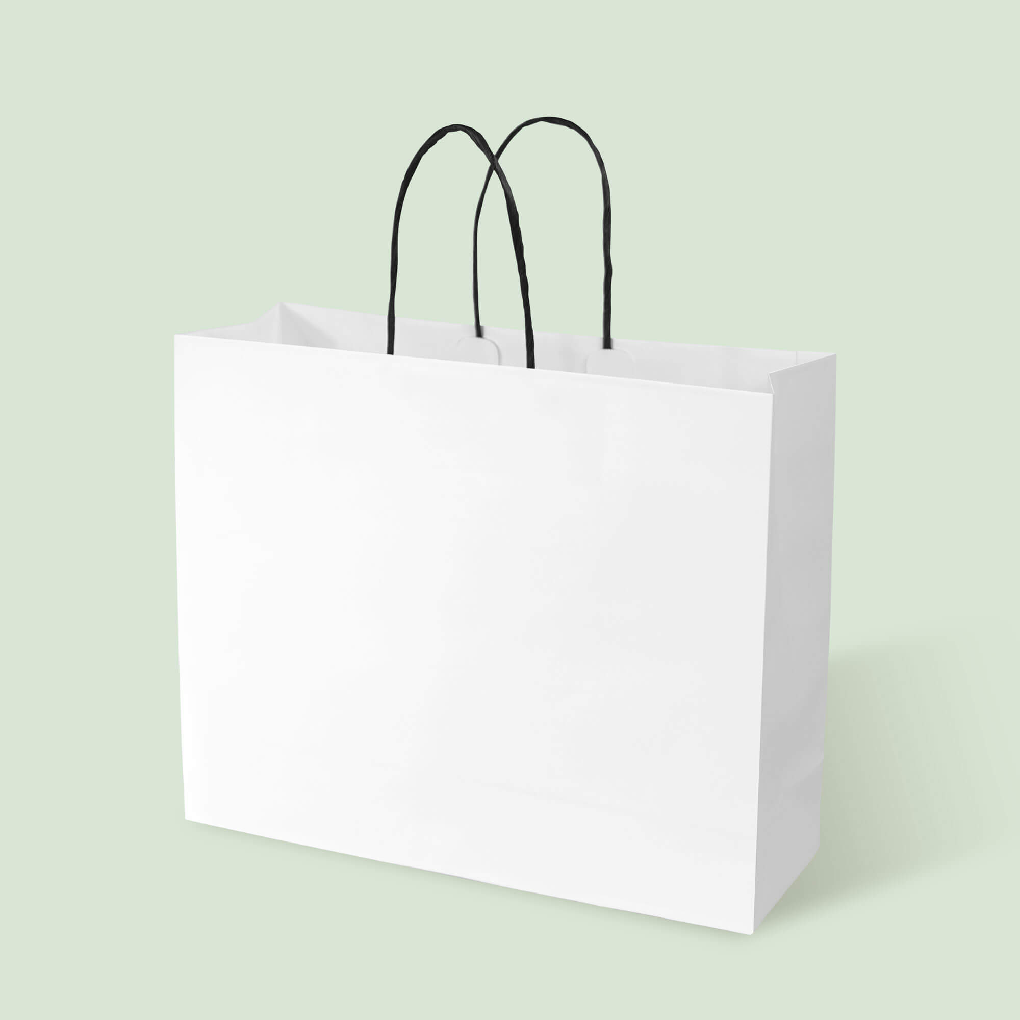 White Kraft Boutique Shopping Bag with Black Twisted Handles - image 1