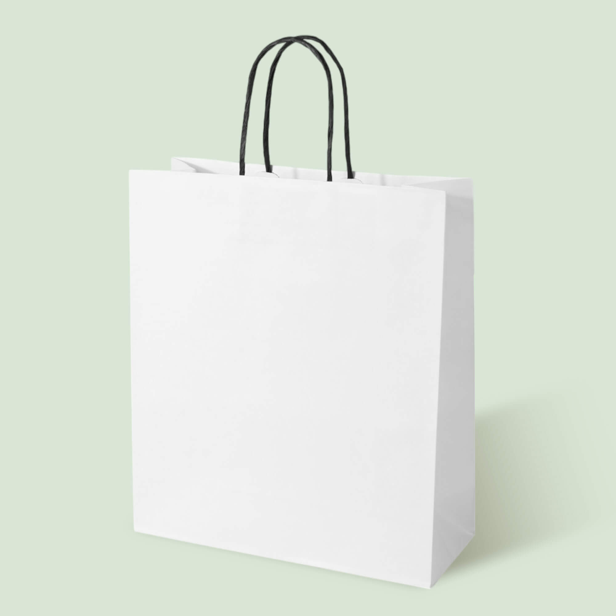 White Kraft Tall Boutique Shopping Bag with Black Twisted Handles - image 1