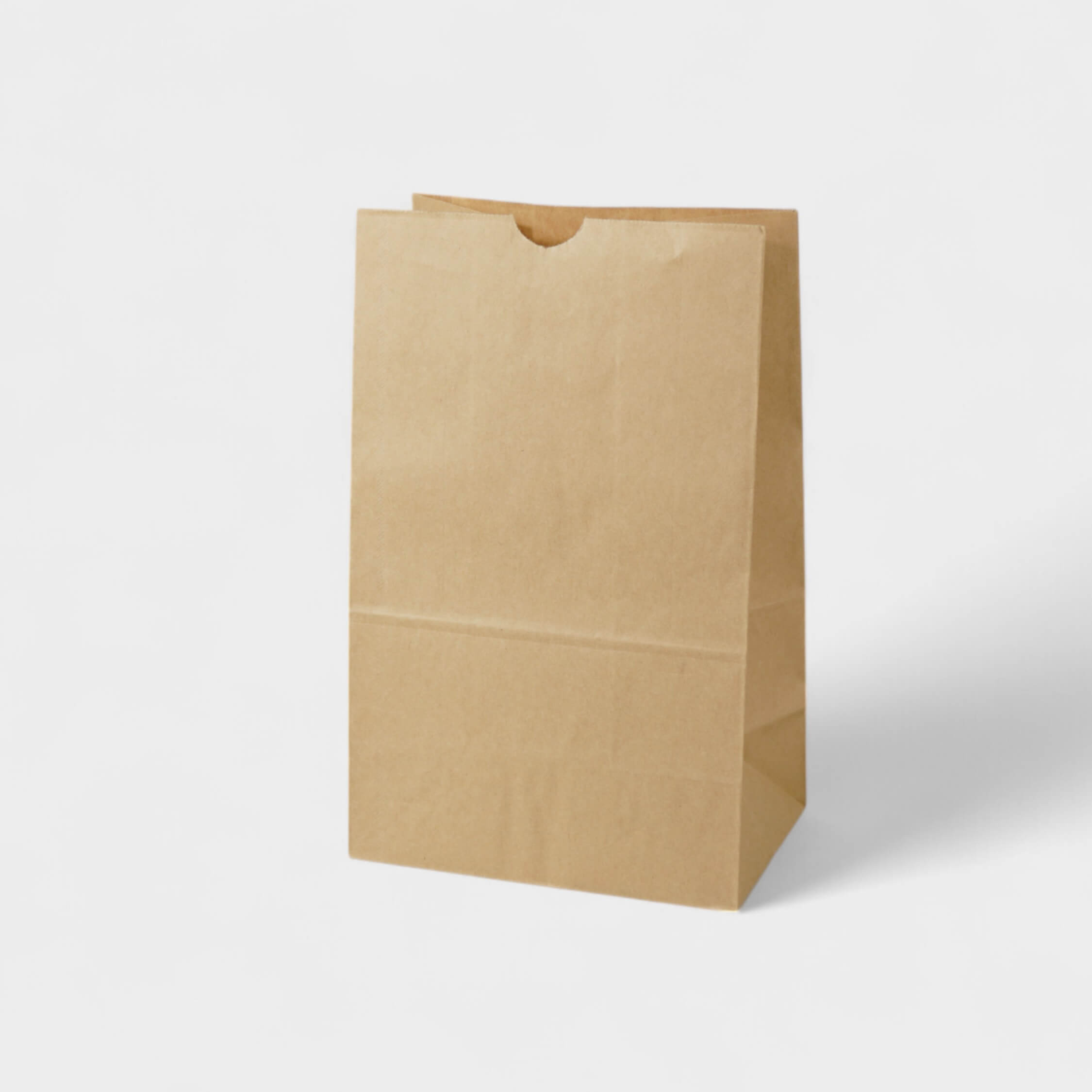 Natural Kraft SOS Kraft Paper Bag - 65 gsm - image 1