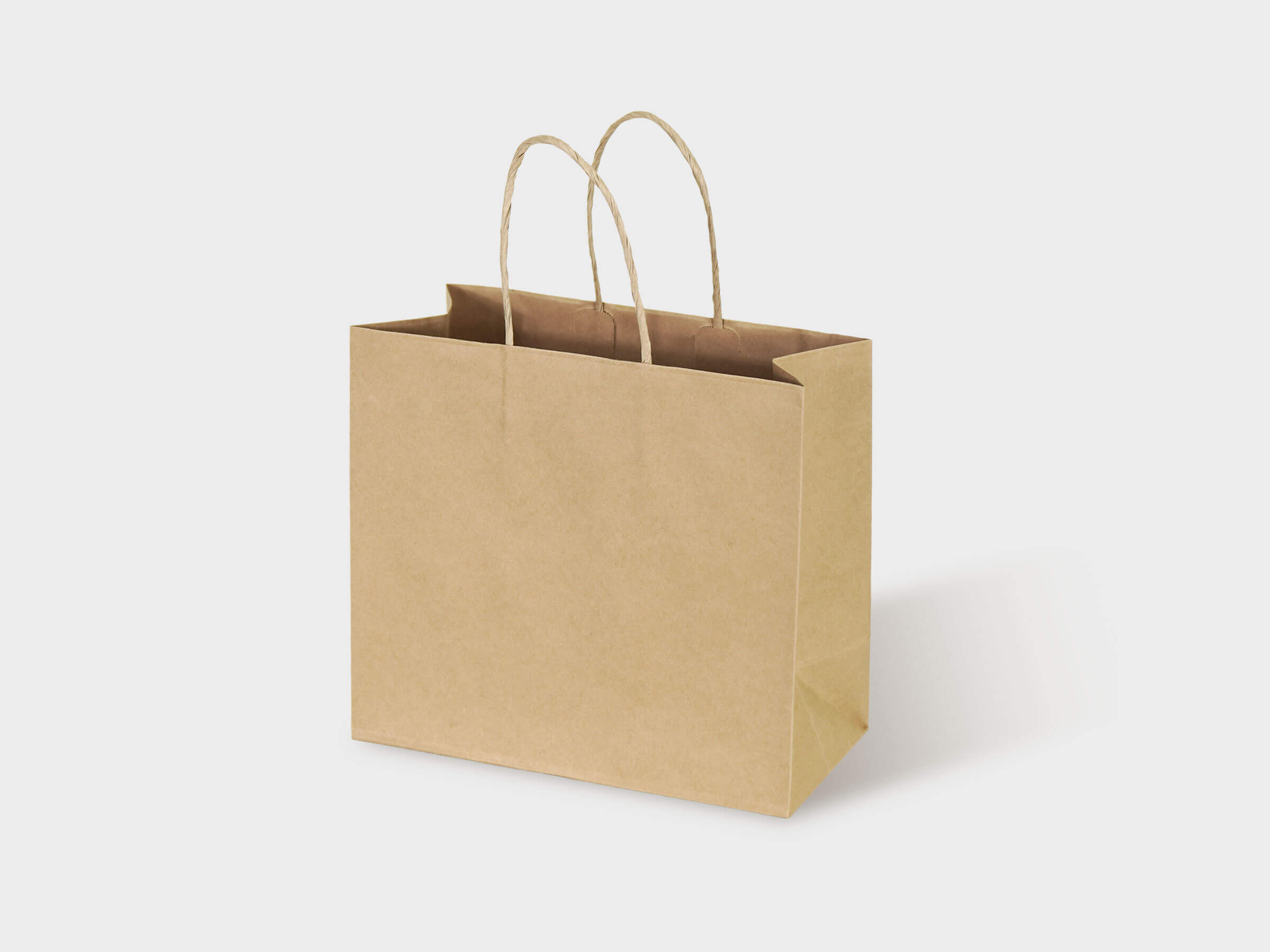 Handle Paper Bags